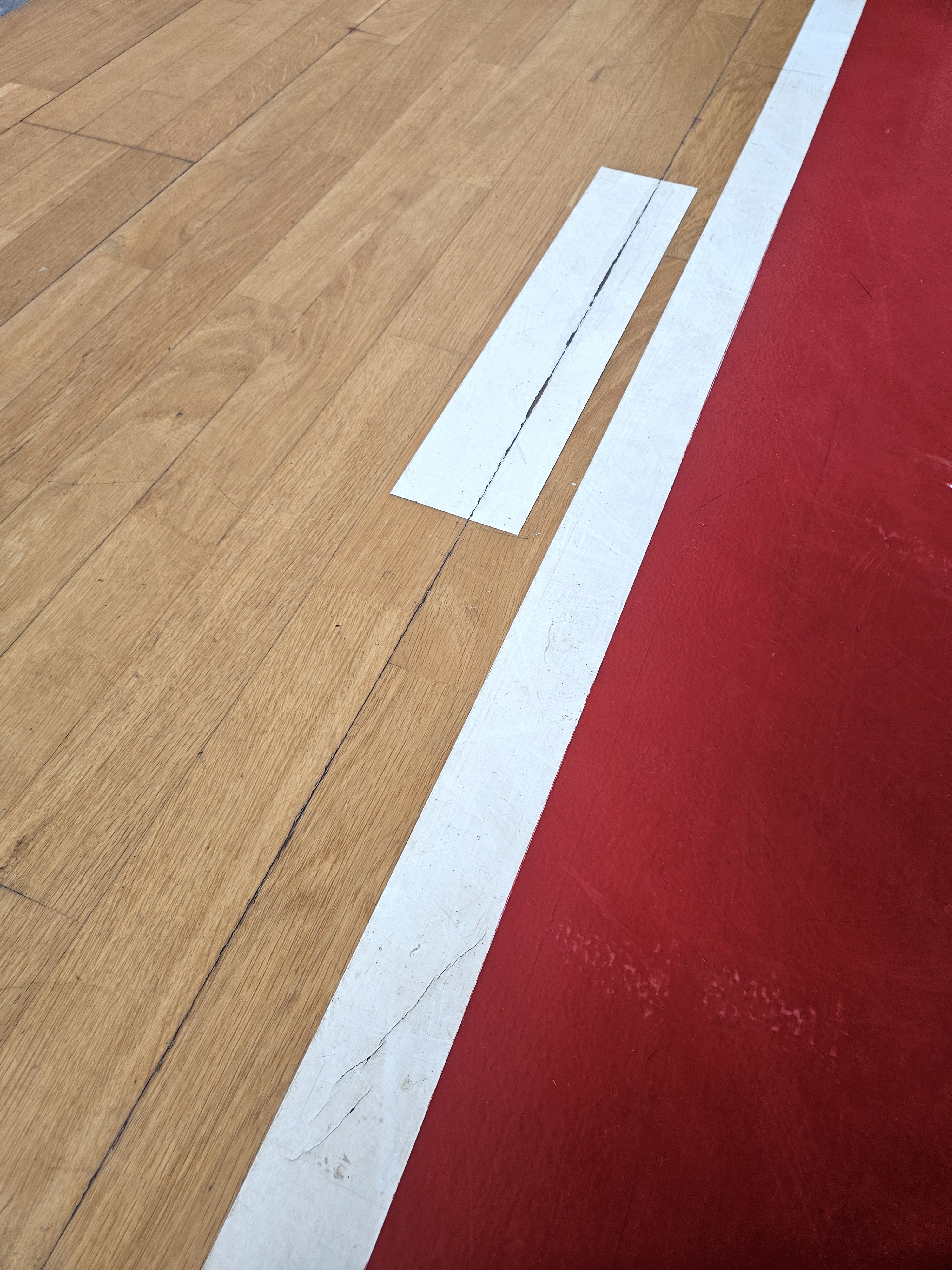 HARO ROM 20 sports flooring with court markings